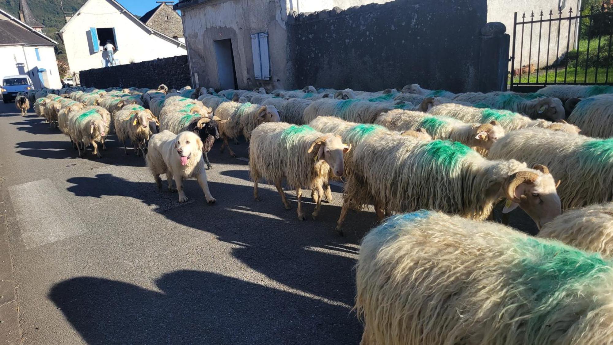 Maison De Campagne Issor Εξωτερικό φωτογραφία